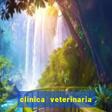 clinica veterinaria cuidar betim